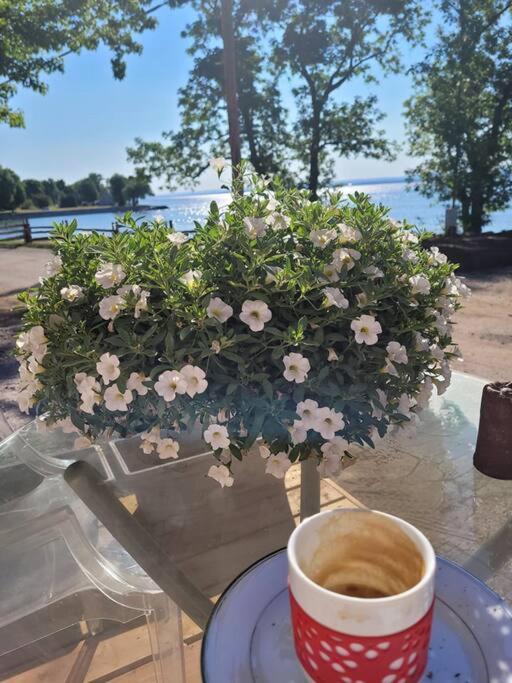 Om Chalet 1 Avec Spa Face Au Fleuve Saint-Jean Bagian luar foto